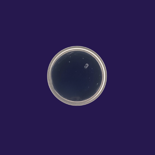 Decorative Flat Colour