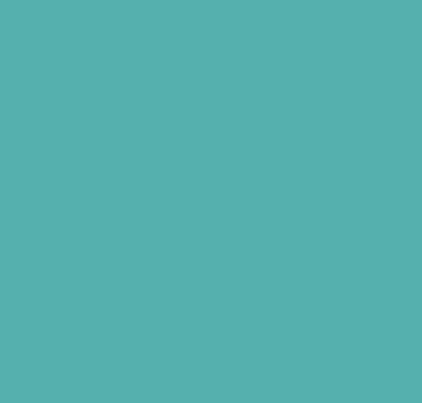 BS102 Turquoise