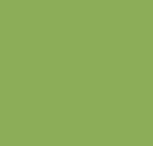 BS217 Sea Green