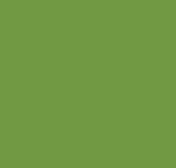 BS218 Grass Green