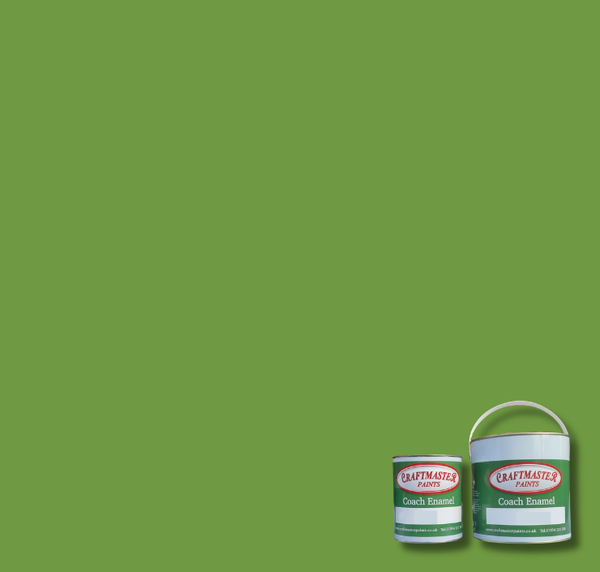 BS218 Grass Green