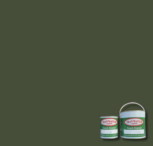 BS223 Middle Bronze Green