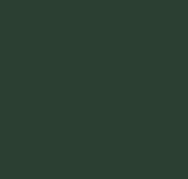 BS227 Deep Brunswick Green