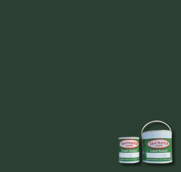 BS227 Deep Brunswick Green