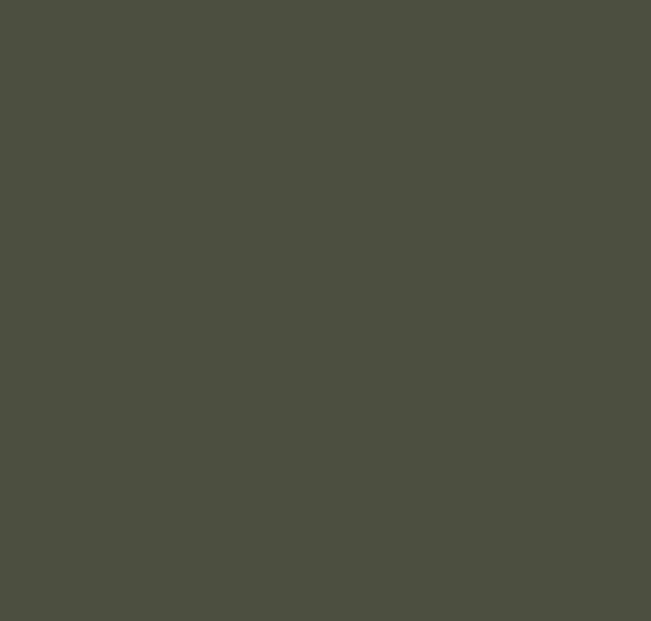 BS241 Dark Green