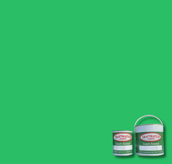 BS262 Bold Green