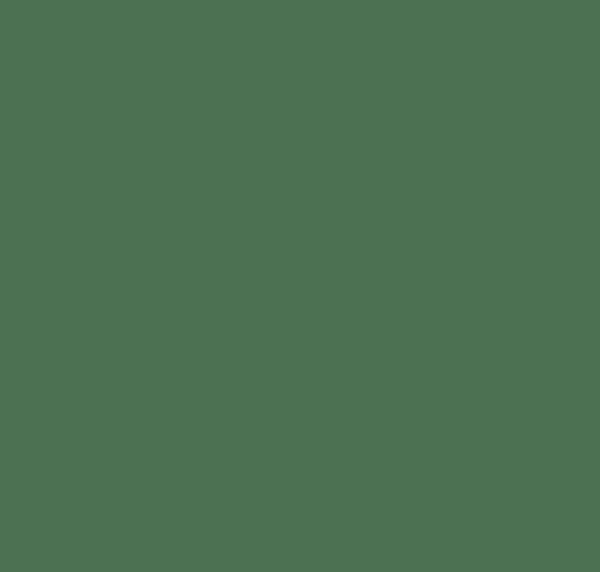 BS267 Traffic Green
