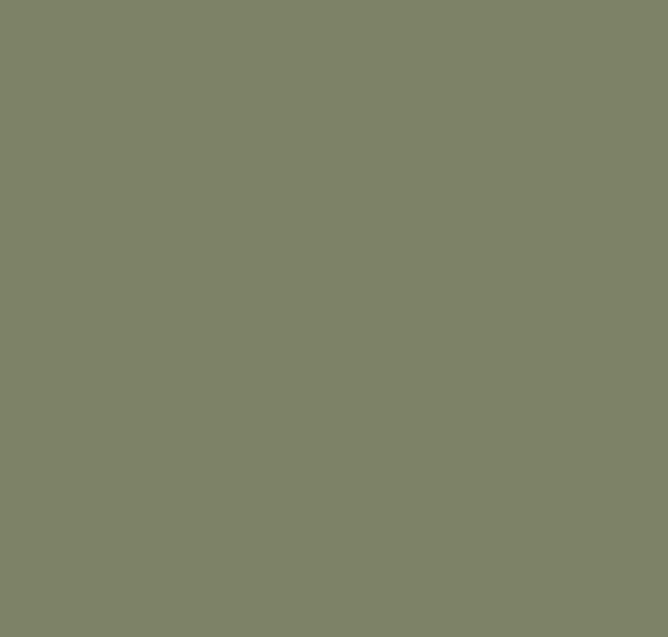 BS284 Spruce Green
