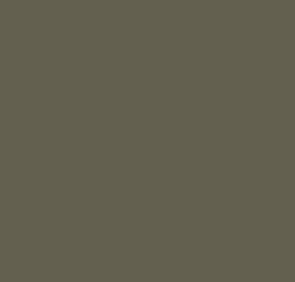 BS285 Nato Green
