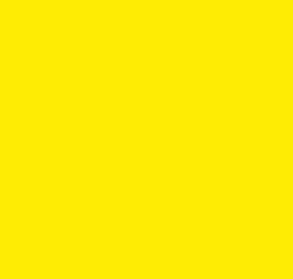 BS309 Canary Yellow