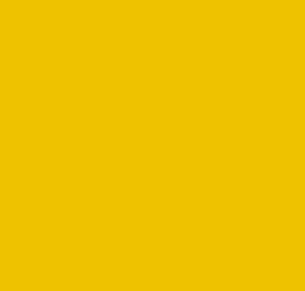 BS363 Bold Yellow