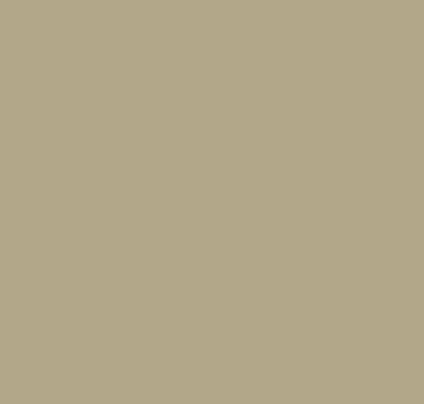 BS389 Camouflage Beige