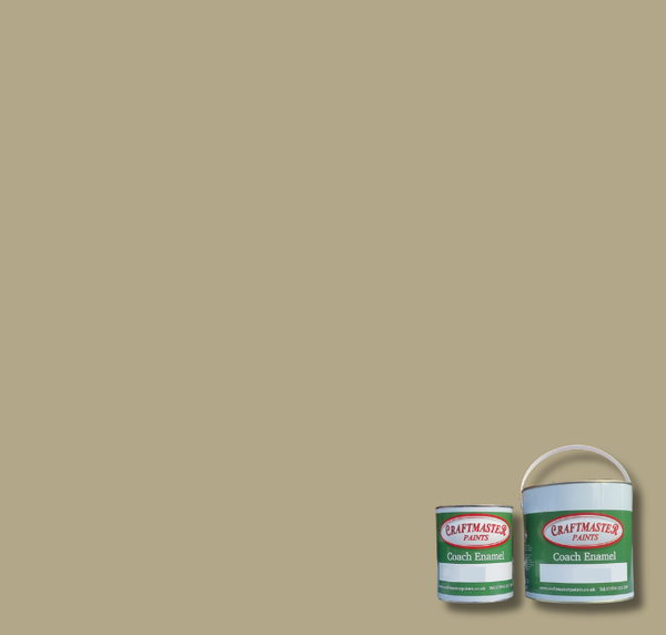BS389 Camouflage Beige