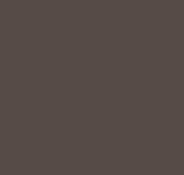 BS436 Dark Camouflage Brown