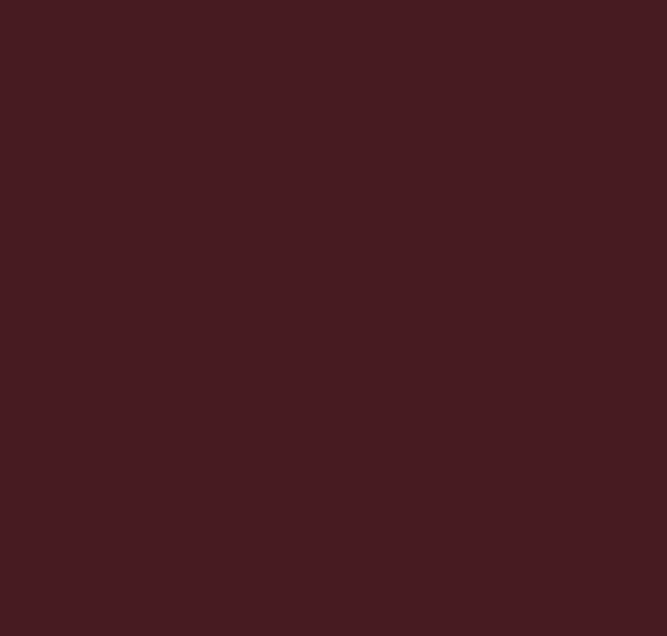 BS541 Maroon