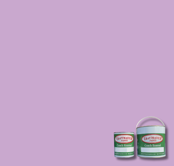 BS797 Light Violet
